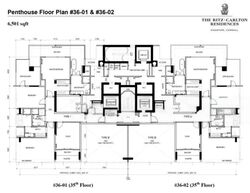 The Ritz-Carlton  (D9), Condominium #455333481